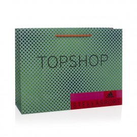 Custom Printed Retail Paper Bag - topshop