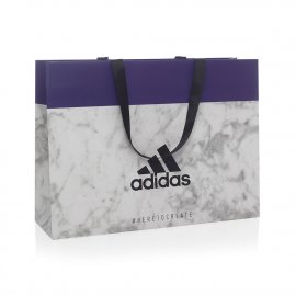 Custom Printed Ribbon Handle Paper Bag